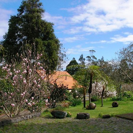 Santo Antonio da SerraBio Quinta Do Pantano, Agro Turismo别墅 外观 照片