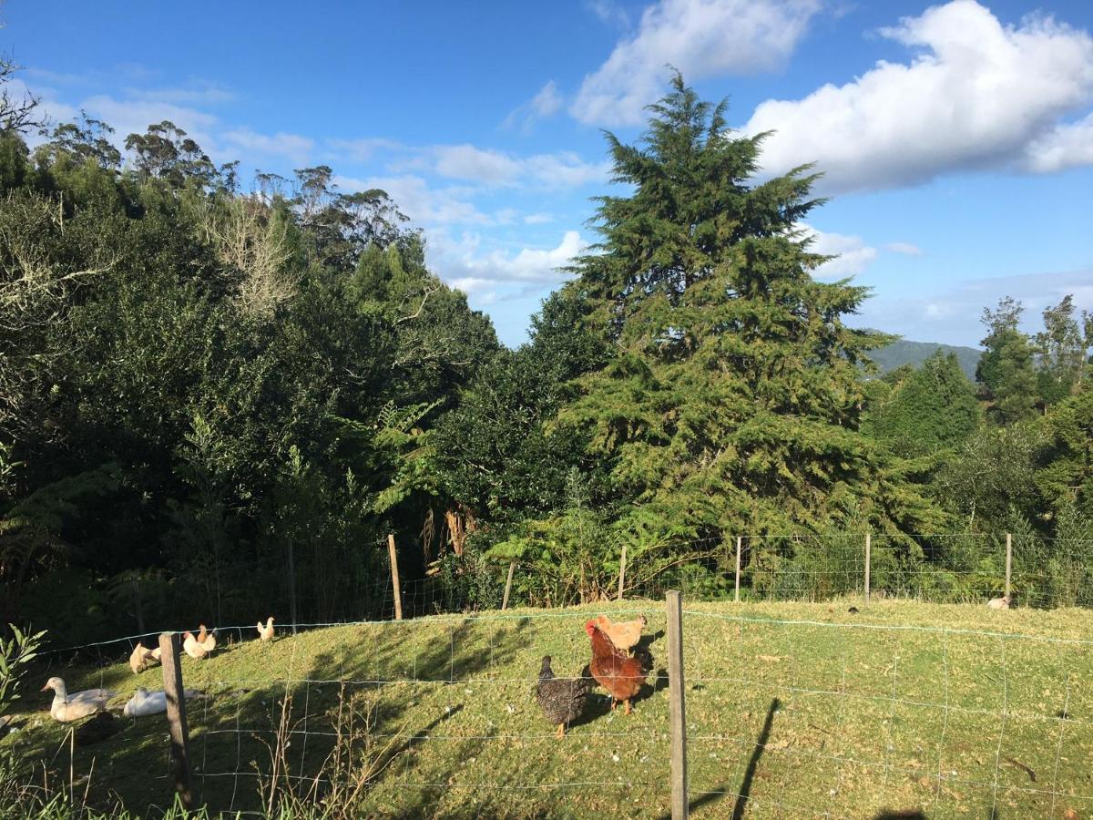 Santo Antonio da SerraBio Quinta Do Pantano, Agro Turismo别墅 外观 照片
