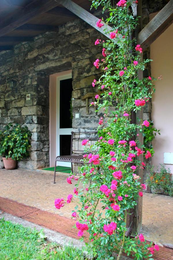Santo Antonio da SerraBio Quinta Do Pantano, Agro Turismo别墅 外观 照片