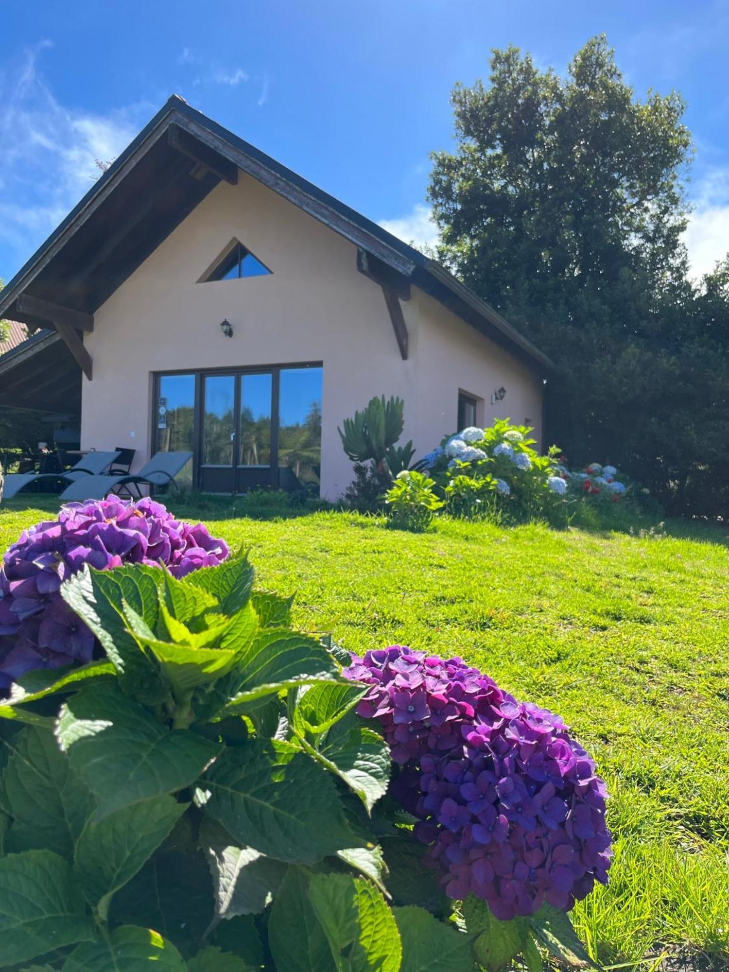 Santo Antonio da SerraBio Quinta Do Pantano, Agro Turismo别墅 外观 照片