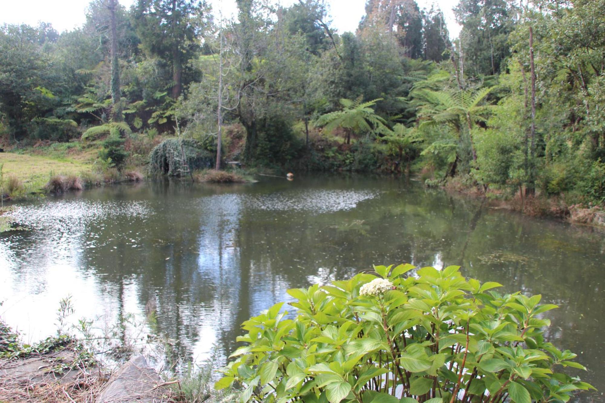 Santo Antonio da SerraBio Quinta Do Pantano, Agro Turismo别墅 外观 照片