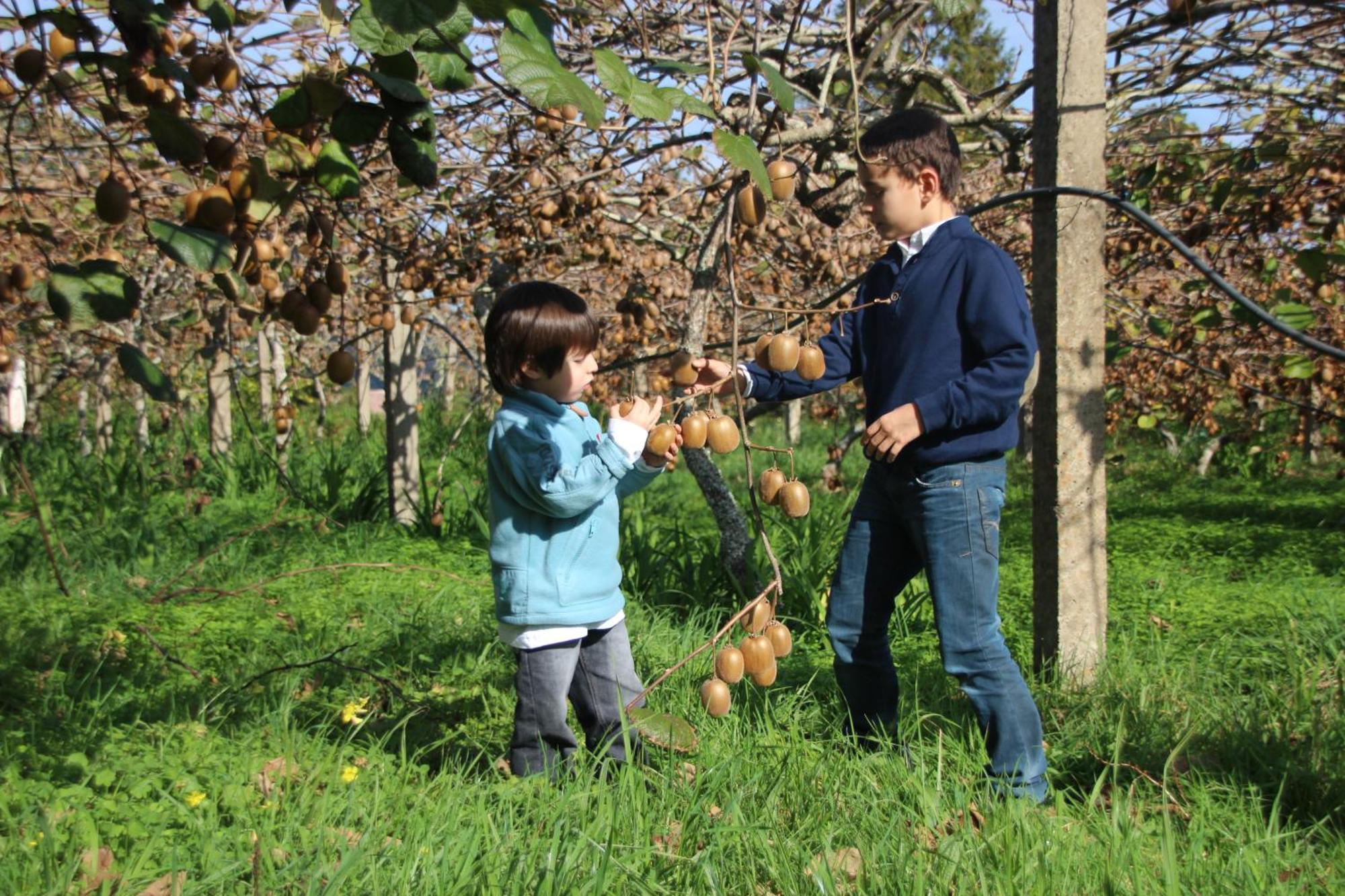 Santo Antonio da SerraBio Quinta Do Pantano, Agro Turismo别墅 外观 照片