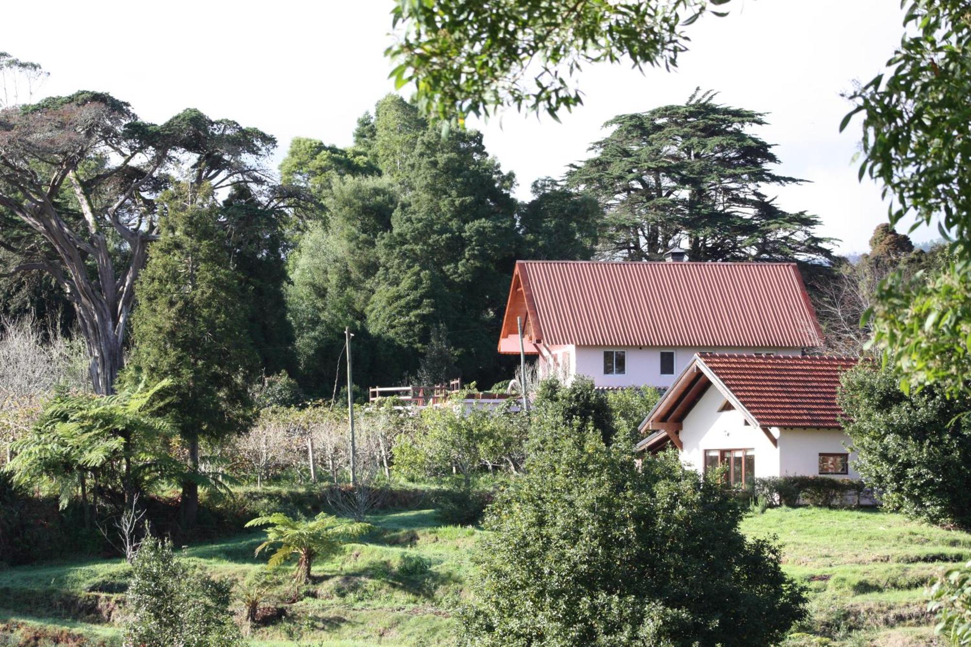 Santo Antonio da SerraBio Quinta Do Pantano, Agro Turismo别墅 外观 照片